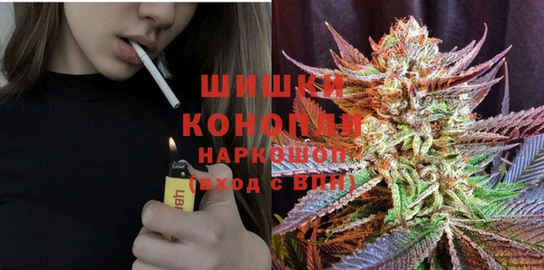 метадон Алексин